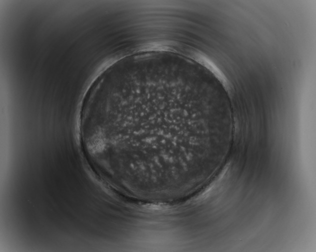 X0000094190994200711161744