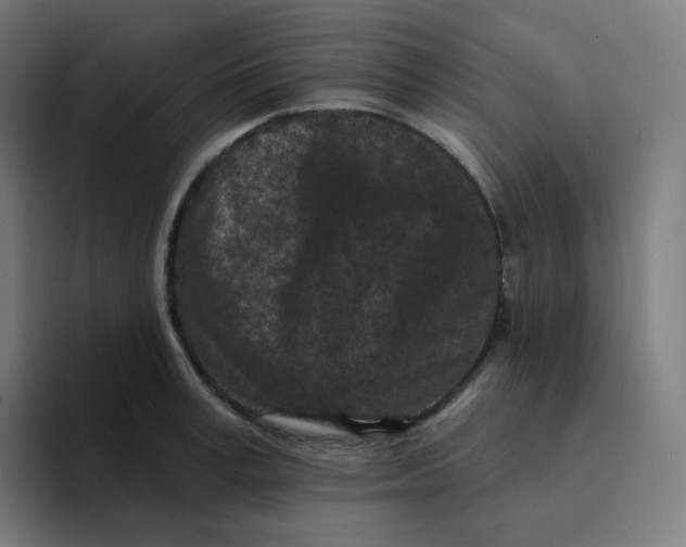 X0000094190995200711161744