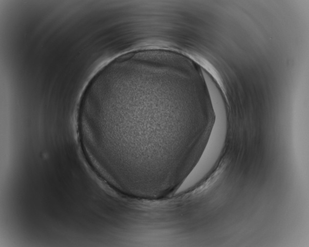 X0000094190997200711161744