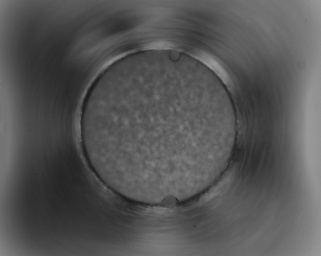 X0000094191000200711161744