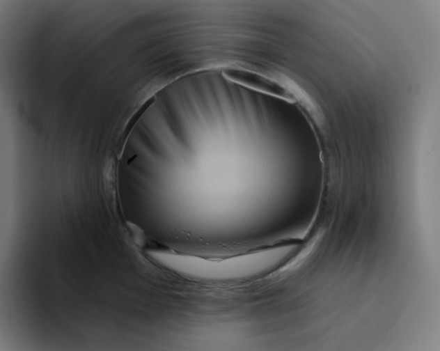 X0000094191001200711161744