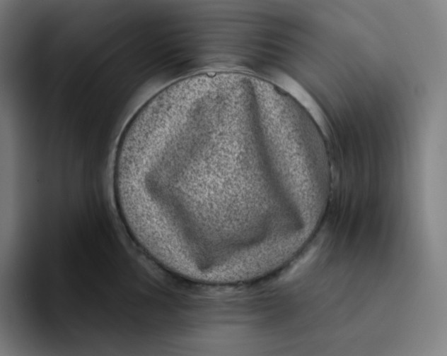 X0000094191002200711161744