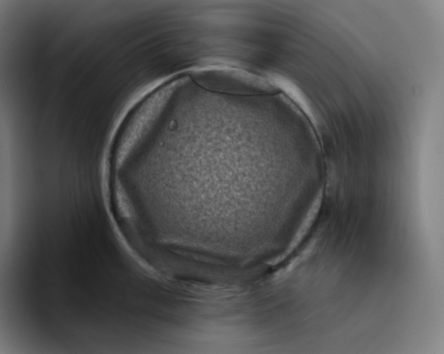 X0000094191003200711161744