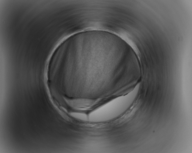 X0000094191005200711161744