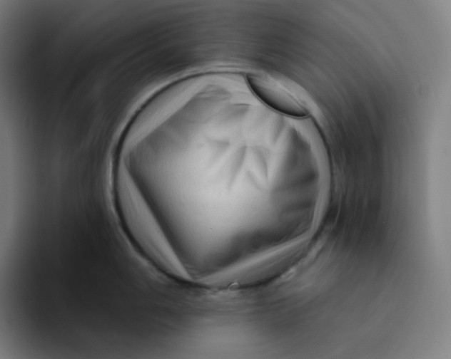 X0000094191006200711161744