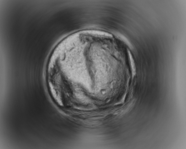 X0000094191007200711161744