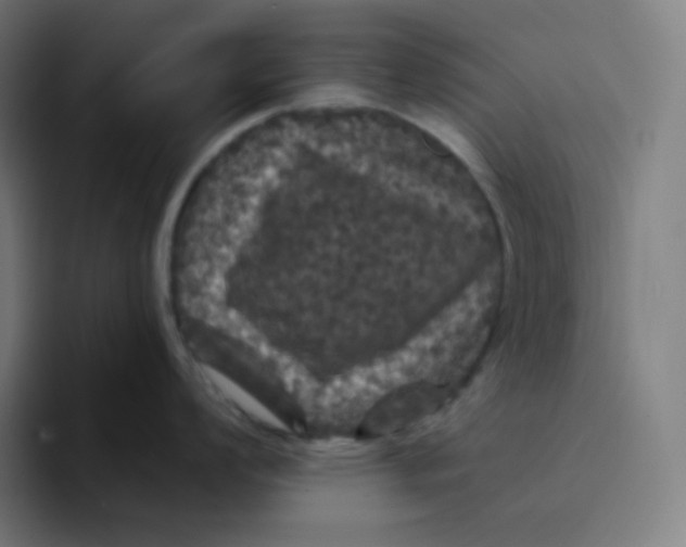 X0000094191008200711161744