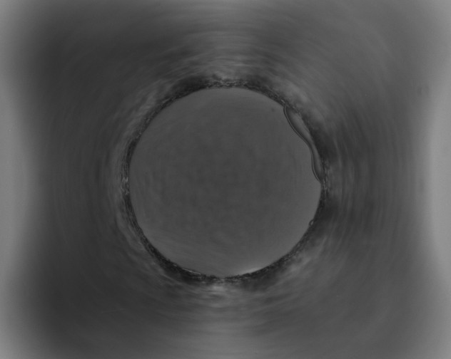 X0000094191009200711161743