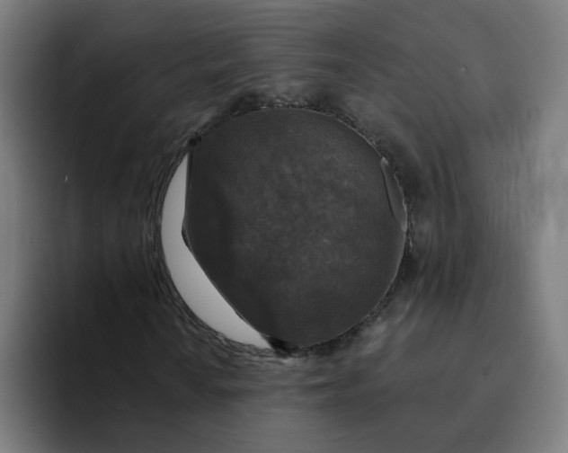 X0000094191010200711161743