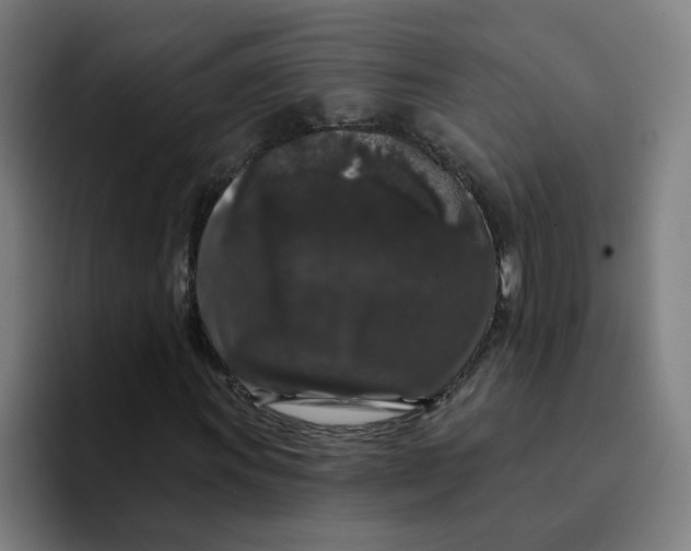 X0000094191011200711161743