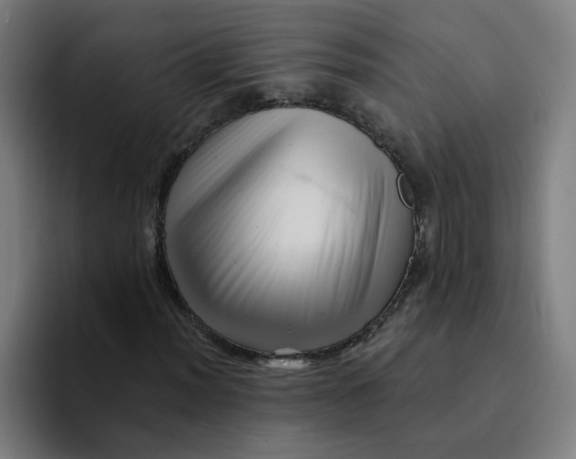 X0000094191012200711161743