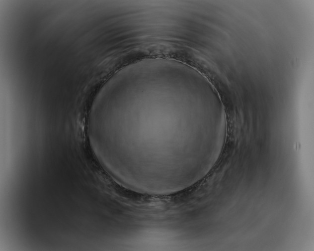 X0000094191013200711161743