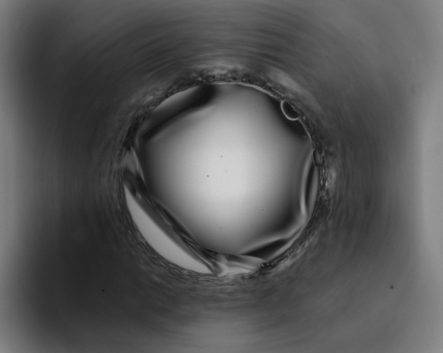 X0000094191014200711161743