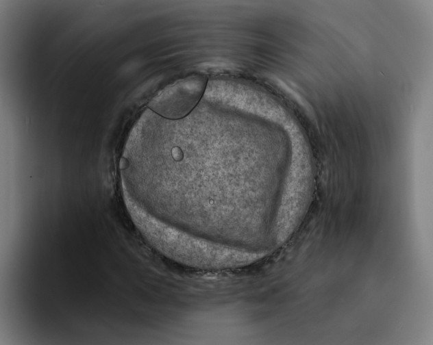 X0000094191015200711161743