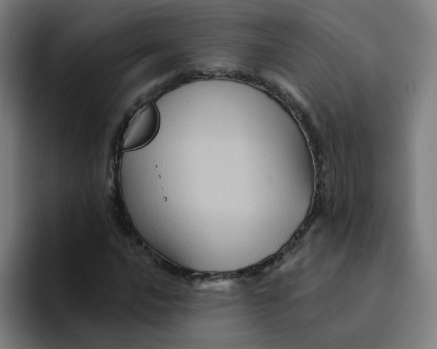 X0000094191016200711161744