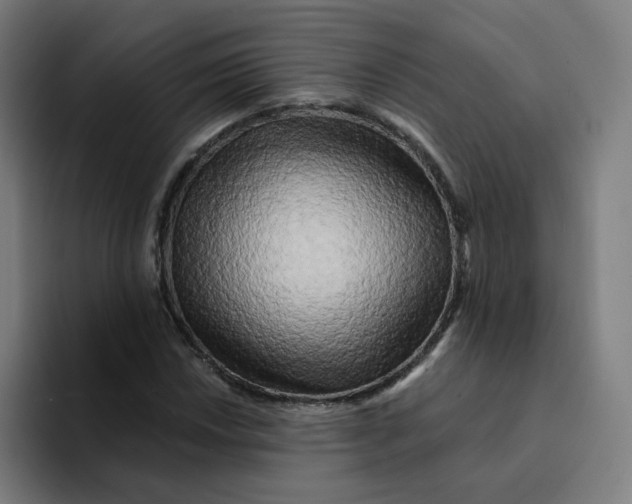 X0000094191018200711161744