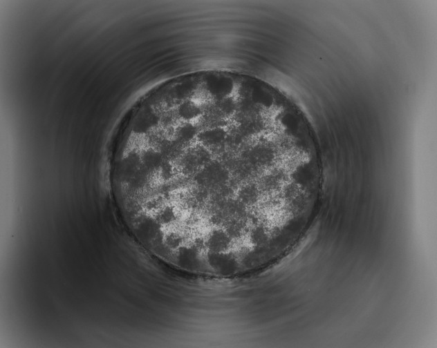 X0000094191019200711161744