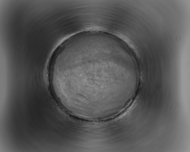 X0000094191022200711161744