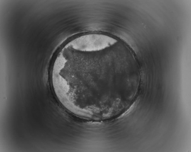 X0000094191023200711161744