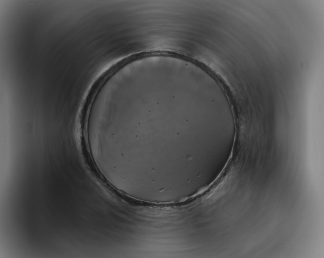 X0000094191024200711161744