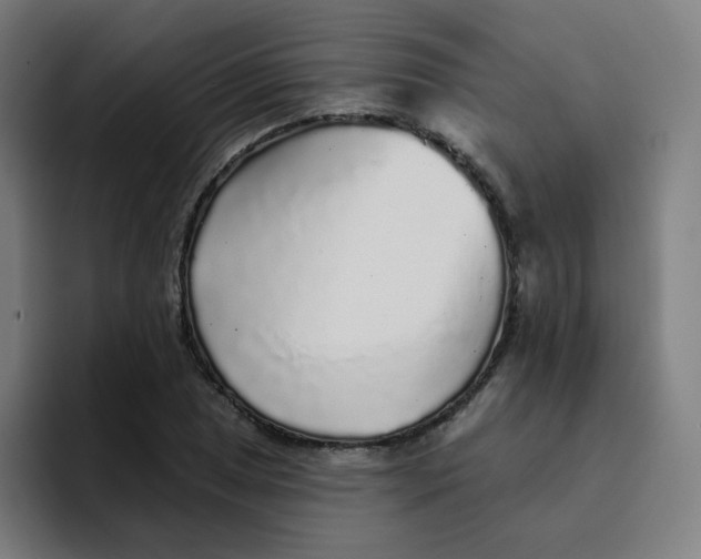 X0000094191025200711161744