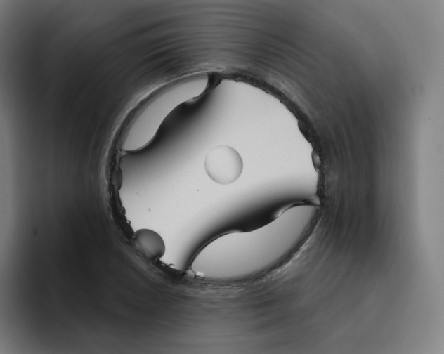 X0000094191026200711161744