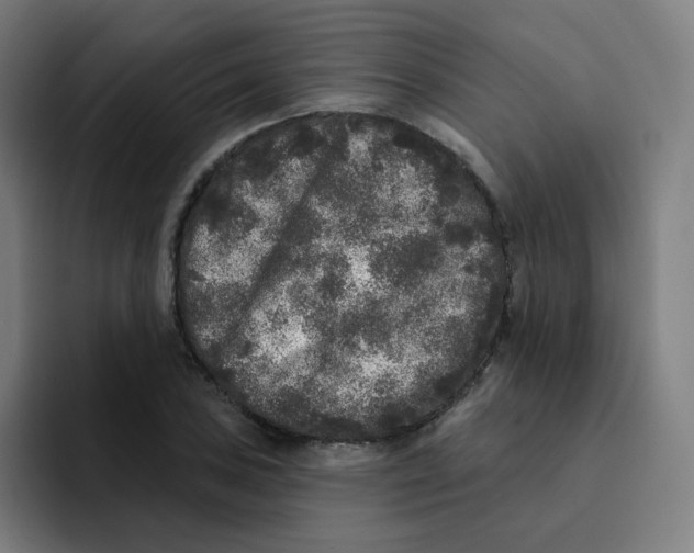 X0000094191027200711161744