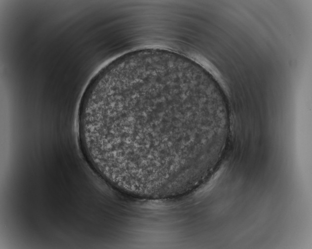 X0000094191028200711161744