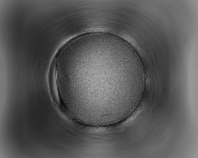 X0000094191030200711161744