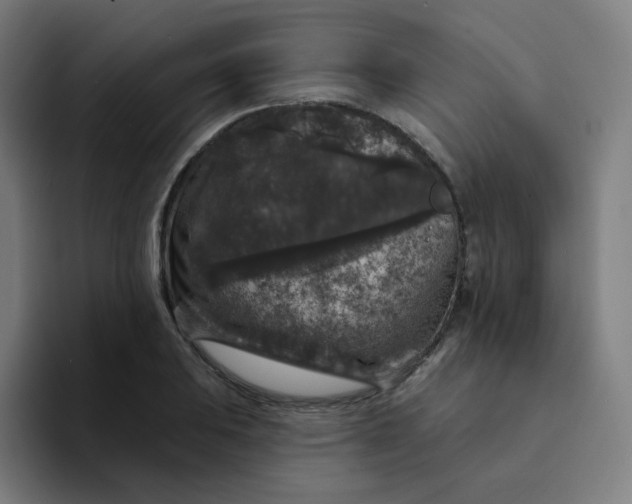 X0000094191031200711161744