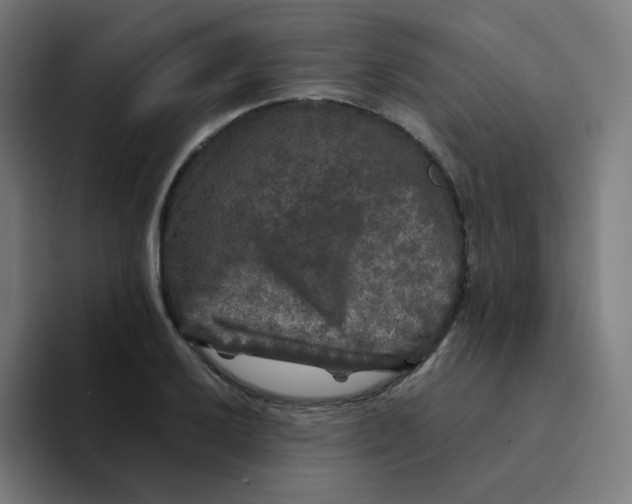 X0000094191032200711161744