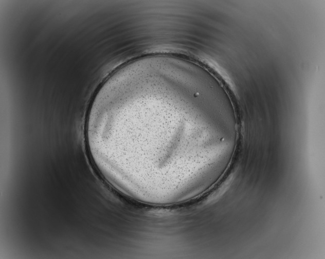 X0000094191033200711161744