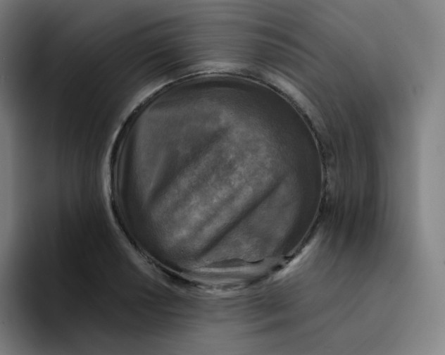 X0000094191034200711161744