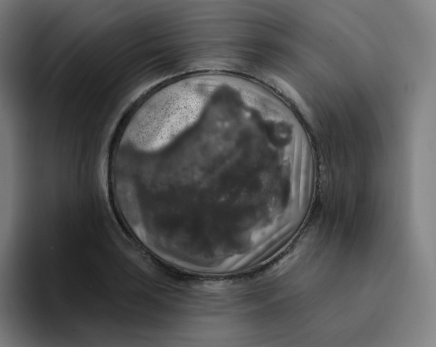 X0000094191035200711161744