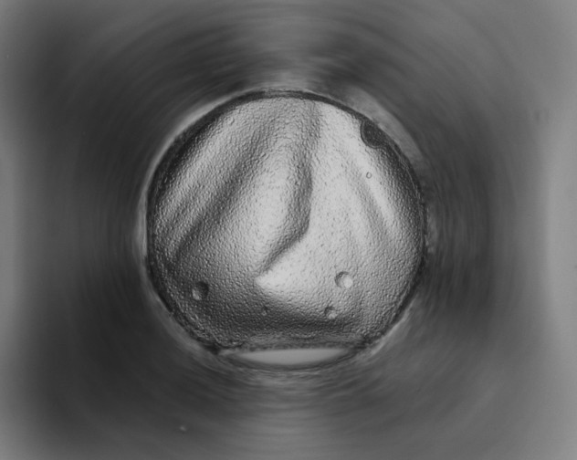 X0000094191036200711161744