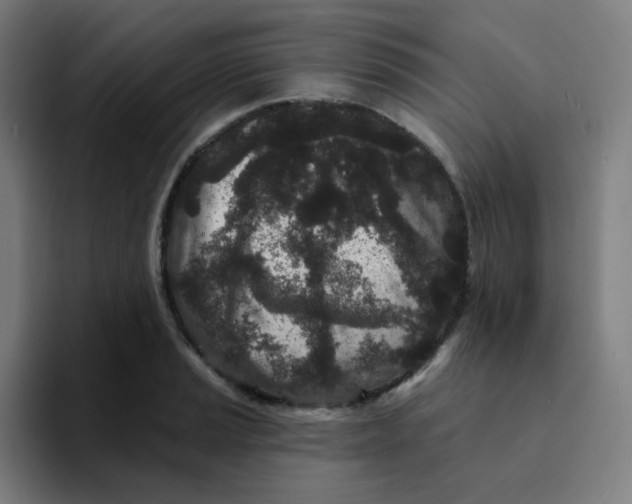 X0000094191037200711161744