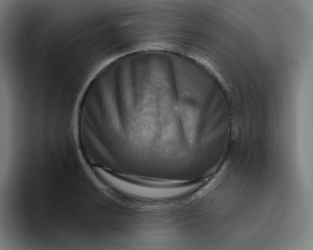 X0000094191038200711161744