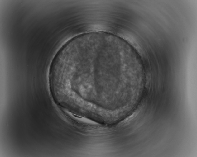 X0000094191039200711161744