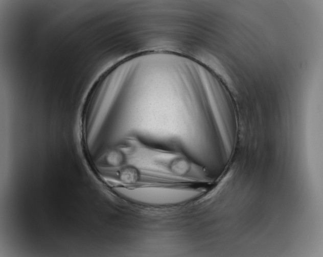 X0000094191040200711161744