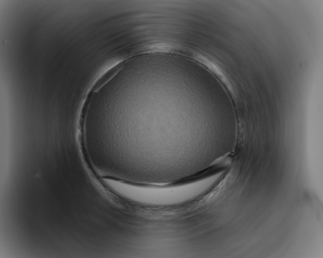 X0000094191042200711161744