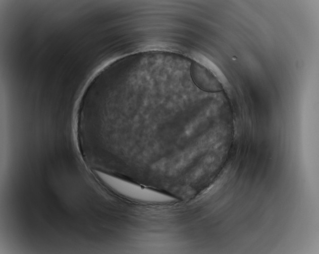 X0000094191043200711161744