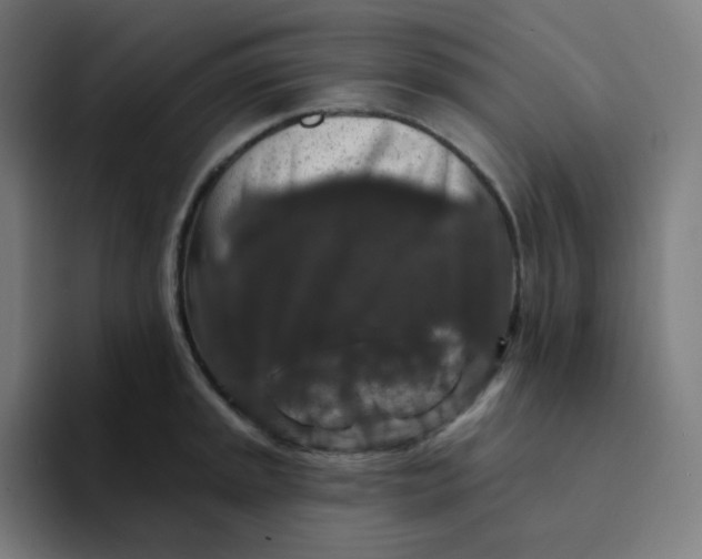 X0000094191045200711161744