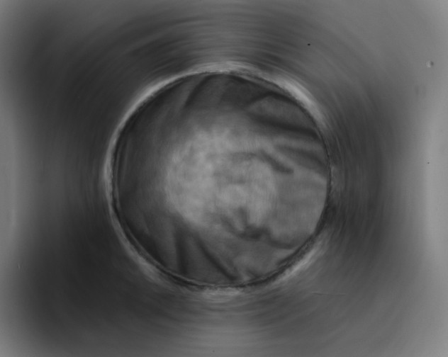 X0000094191046200711161744