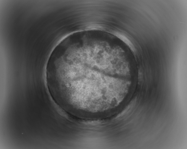 X0000094191047200711161744