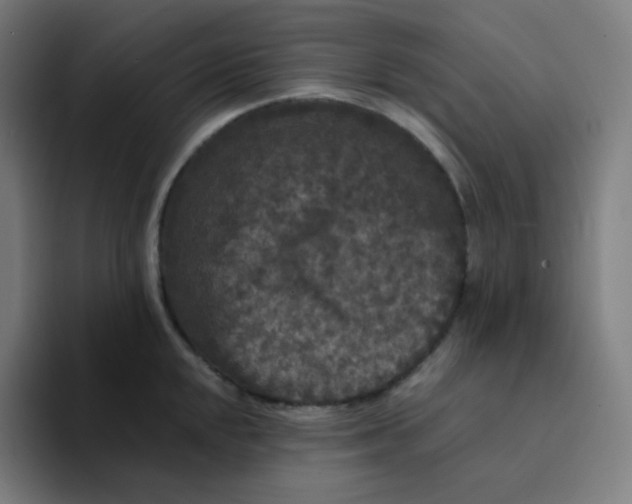 X0000094191048200711161744