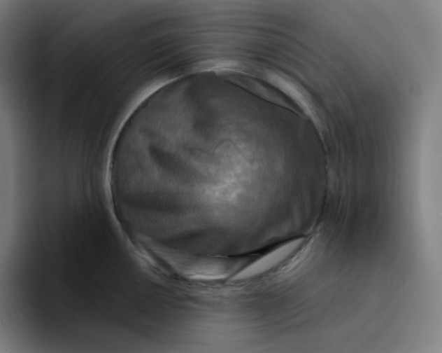 X0000094191050200711161744