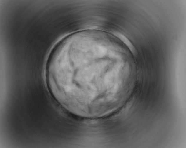 X0000094191051200711161744