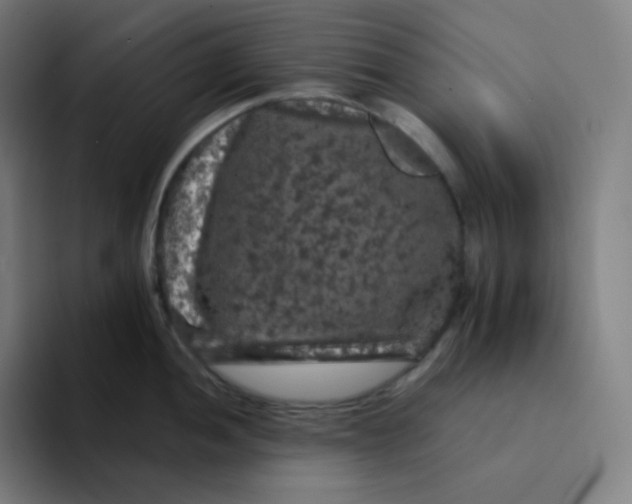 X0000094191052200711161744