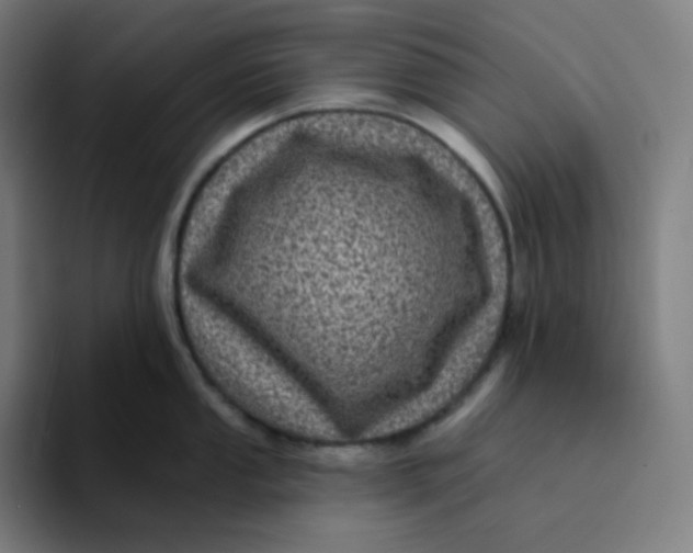 X0000094191053200711161744