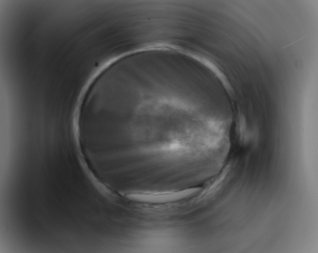 X0000094191054200711161744